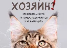 Кот в доме хозяин!? Или как я отношусь к содержанию кошек в своем доме