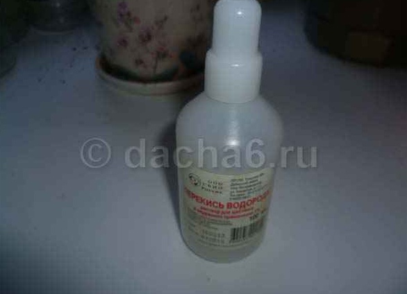 Применение перекиси водорода в саду и огороде, обработка семян и рассады