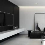 흑백 거실 (사진 50 장) : 밝은 액센트가 돋보이는 현대적인 인테리어 검정색으로 거실 꾸미기