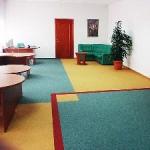 The choice of carpet: types and characteristics