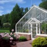 Business plan for a winter greenhouse How to do greenhouses in winter