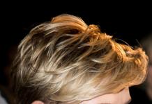 Kako biti prijatelj s kratkom frizurom: elegantan styling na primjeru Scarlett Johansson Ova frizura nije za skromne žene