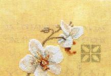 Orchid cross stitch according to the pattern