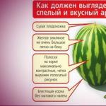 Korisna svojstva lubenice, kako odrediti zrelost Kako odrediti kada odabrati lubenicu iz vrta
