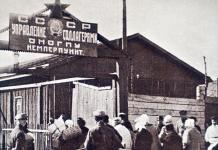 С.Л.О.Н: Соловецкий лагерь особого назначения. Воспоминания надзирателя. Тюрьма, из которой было невозможно сбежать