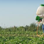 Herbicidi protiv korova - borba za čisti vrt