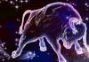Love horoscope for December 3 Taurus