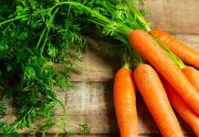 Secretos de la cosecha adecuada de zanahorias