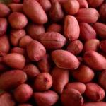 Польза и вред арахиса для организма мужчин и женщин, нормы для ежедневного употребления