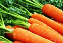 Las Mejores Semillas de Zanahoria: Variedades Tempranas, Medias, Tardías y Multicolores Las zanahorias más deliciosas para plantar