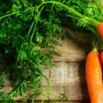 Secretos de la cosecha adecuada de zanahorias