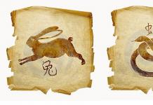 Serpente e Coniglio: compatibilità secondo il calendario orientale