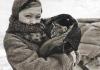 Mačky z obliehania Leningradu Zaujímavé fakty o obliehaní Leningradských mačiek