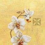 Punto de cruz de orquídeas según el esquema.