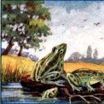 Children's fairy tales online And the wings of frogs asking the king to read