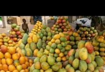 Significato del frutto velenoso Aki in Giamaica