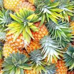 Kako odabrati zreli ananas, kako ga pravilno pohraniti kod kuće Kako bi ananas trebao izgledati iznutra?