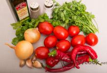 Рецепт соуса сальса: как за пару минут приготовить дома настоящий деликатес Соус сальса рецепт классический рецепт пошаговый