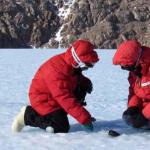What was discovered in Antarctica shocked not only scientists