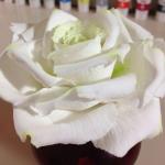 Flores de porcelana fría de bricolaje: una novedad de moda en el mundo de la floristería