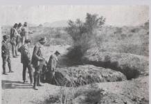 What is the largest meteorite that fell to earth?