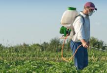 Herbicides from weeds - the fight for a clean garden