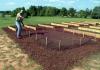 Kako uzgajati plodnu mrkvu