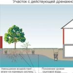 Simple ways to make drainage in your dacha with your own hands and without investment