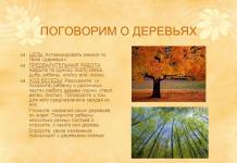 Lexical topic trees and shrubs preparatory group