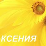 Mi nombre es Ksenia.  Ksenia - el significado del nombre.  Número zodiacal y sagrado del nombre Ksenia.