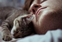 Prečo mačka rada leží na človeku?