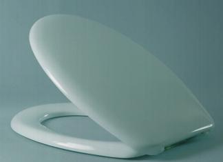 Toilet lid mount: how to securely and safely install the seat on the bowl